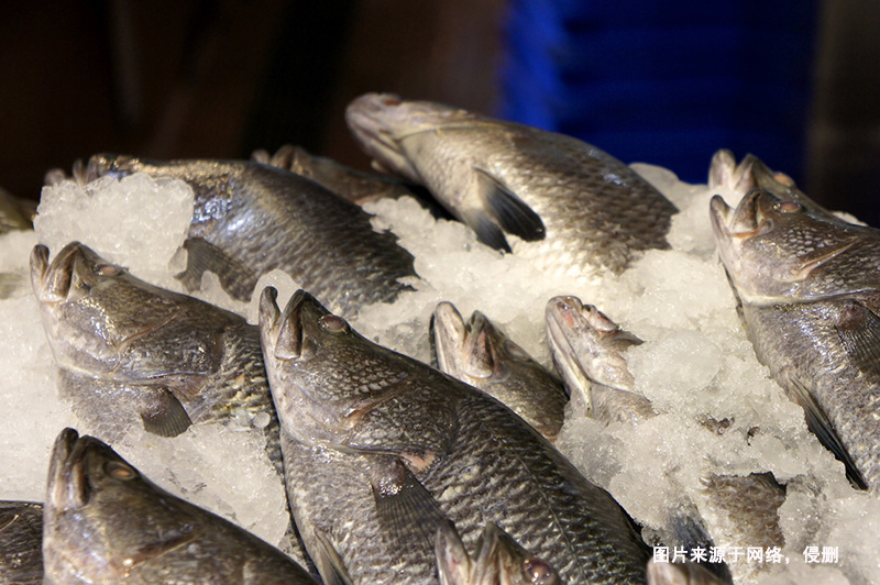 巴布亞新幾內(nèi)亞到廣州鱸魚進口報關流程冷凍魚案例