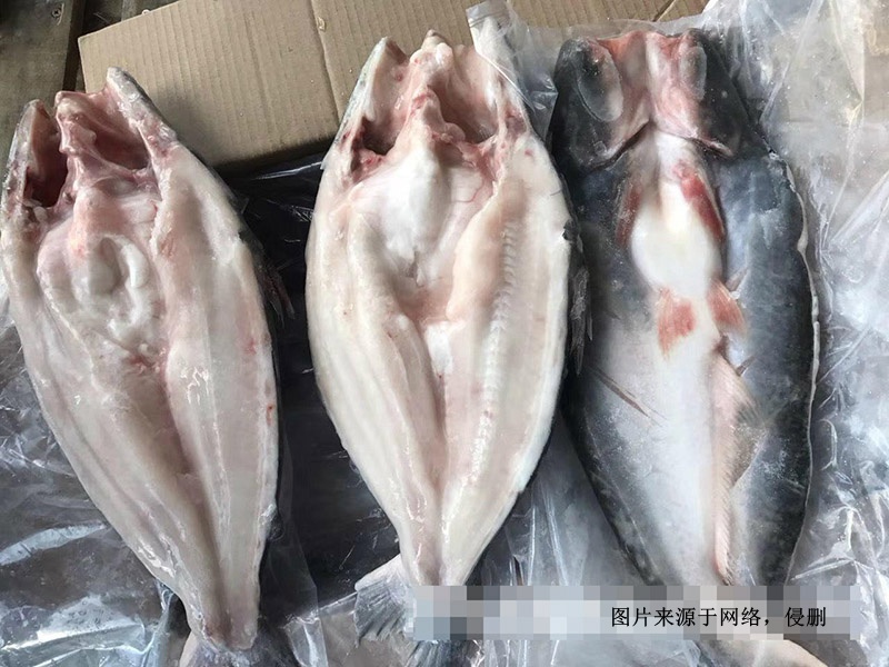 越南冷凍巴沙魚進口報關資料到深圳鹽田水產(chǎn)品案例