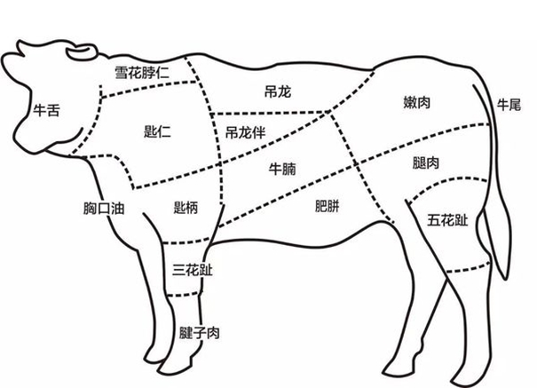 冷凍牛肉進口報關(guān)